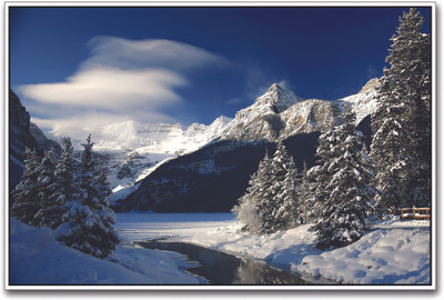 

Snow Covered Forest Amazing Paper Print(12 inch X 18 inch)