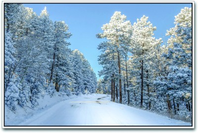 

Snow on Road Paper Print(12 inch X 18 inch)