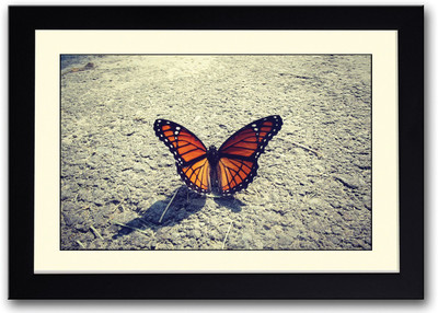 

Beautiful Butterfly On Road Fine Art Print(14 inch X 20 inch, Framed)