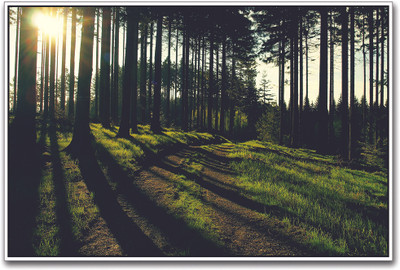 Beautiful Grassland with Trees Paper Print(12 inch X 18 inch)