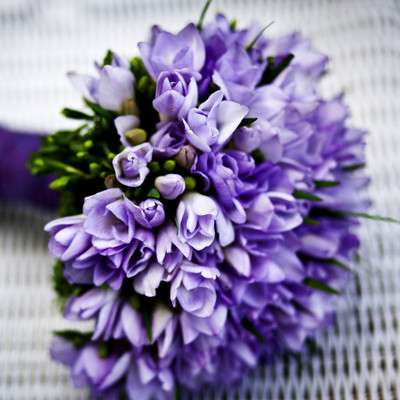 

Blue Flowers - Medium Size Ready To Frame Rolled Digital Art Print On Photographic Paper(18 inch X 18 inch, Rolled)