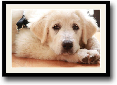 

Cute Dog AFP0506 Fine Art Print(10 inch X 14 inch, Framed)