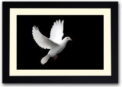 

White Peace Dove Fine Art Print(14 inch X 20 inch, Framed)