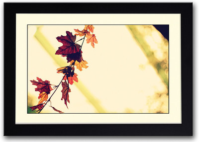 Beautiful Autumn Leaves Fine Art Print(14 inch X 20 inch, Framed)