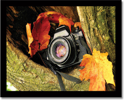 Framed Hidden Camera Fine Art Print(8 inch X 10 inch, Framed) available at flipkart for Rs.360