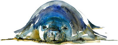 

Art For Kids - Caribbean Monk Seals - Medium Size Rolled Digital Art Print On Photographic Paper(24 inch X 12 inch, Rolled)