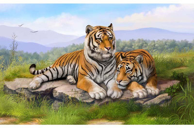 

Tallenge - Fearless Twin Tigers - A3 Size Premium Quality Rolled Poster Paper Print(16.5 inch X 11.7 inch, Rolled)