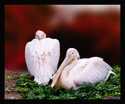 50% OFF on Together 01 Canvas Art(29 inch X 36 inch)