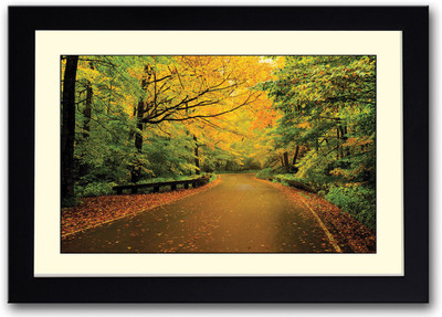 

Colorful Forest Fine Art Print(14 inch X 20 inch, Framed)