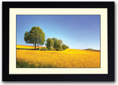 

Yellow Rapeseed Field Fine Art Print(14 inch X 20 inch, Framed)