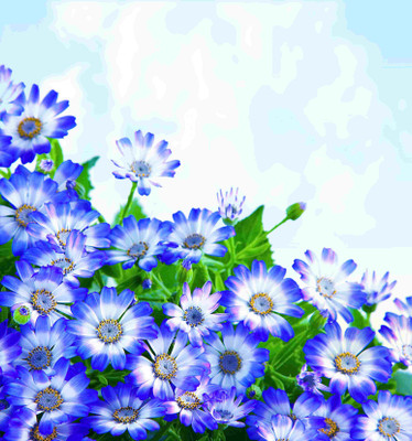 

Posterhouzz Flower Fine Art Print Poster Fine Art Print(18 inch X 12 inch, Rolled)