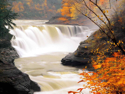 

Posterhouzz Autumn Fine Art Print Poster Fine Art Print(12 inch X 18 inch, Rolled)