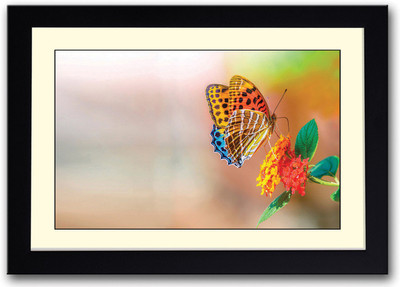 

Beautiful Butterfly And flower Fine Art Print(14 inch X 20 inch, Framed)