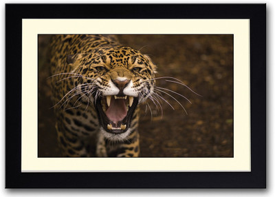 

Jaguar Wild Cat Fine Art Print(14 inch X 20 inch, Framed)
