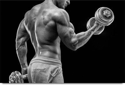 dumbbells makes Biceps Body Building Paper Print(12 inch X 18 inch, Stacked) available at flipkart for Rs.215