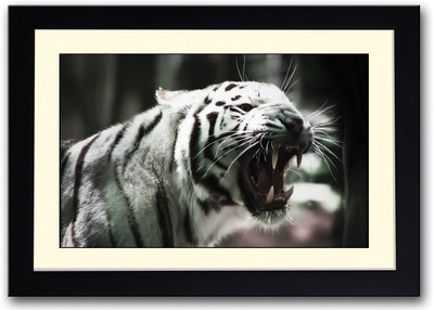 

White Tiger Fine Art Print(14 inch X 20 inch, Framed)
