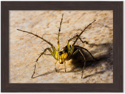 

Insects Nature Themed Framed Poster Photographic Paper(13.5 inch X 10 inch, Box Packing)