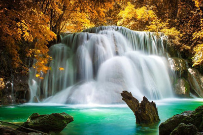 

Nature Fine Art Print(24 inch X 36 inch, Rolled)
