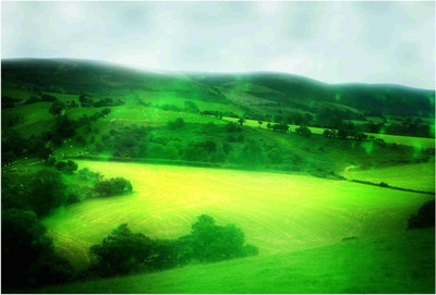 

Nature Paper Print(19 inch X 13 inch, Rolled)