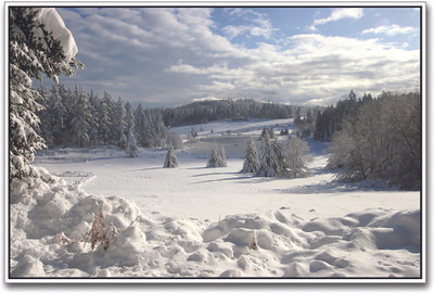 

Snow Covered Landscape Paper Print(12 inch X 18 inch)