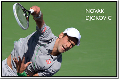 

Posterhouzz Novak Djokovic Poster Paper Print(12 inch X 18 inch, Rolled)