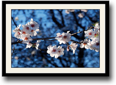 

White flowers photography Fine Art Print(10 inch X 14 inch, Framed)