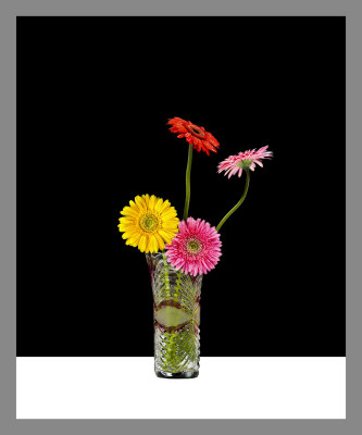 50% OFF on Gerbera in Paper Print(28 inch X 24 inch)