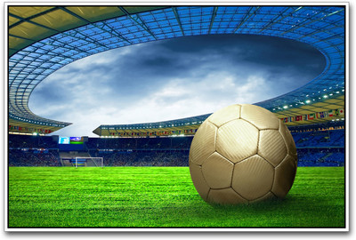 

Football stadium Paper Print(12 inch X 18 inch)