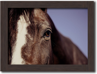 

Nature Themed Poster Frames Paper Print(13.5 inch X 10 inch, Box Packing)