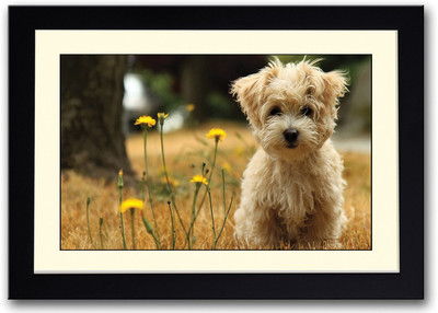 

Cute Dog With Yellow Flowers Fine Art Print(14 inch X 20 inch, Framed)