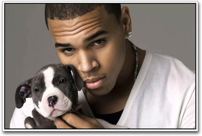 

Chris Brown Paper Print(12 inch X 18 inch)