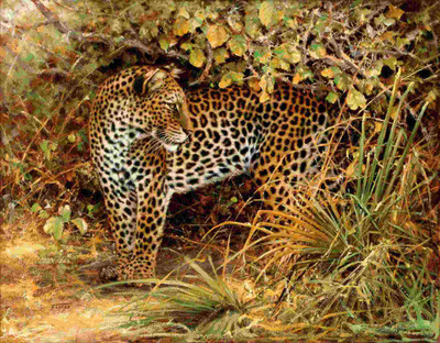 

Posterhouzz Animal Fine Art Print Poster Fine Art Print(12 inch X 18 inch, Rolled)
