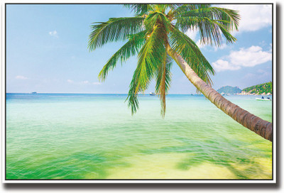 

Coconut tree on beach Fine Art Print(12 inch X 18 inch, Rolled)