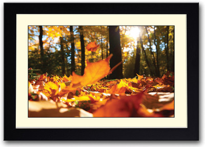 

Autumn Leaves AFP0359 Fine Art Print(14 inch X 20 inch, Framed)