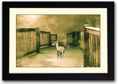 

Deer On Wooden Bridge Fine Art Print(14 inch X 20 inch, Framed)