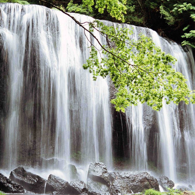 

Vastu WaterFall Art Canvas Art(36 inch X 36 inch)