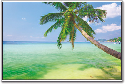 

Coconut Tree on the Beach Paper Print(12 inch X 18 inch)