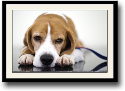 

Cute dog AFP0514 Fine Art Print(10 inch X 14 inch, Framed)