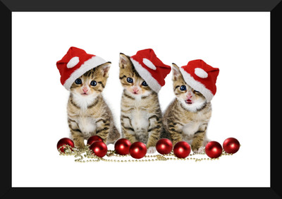 

Tallenge - Christmas Art - Cute Kittens - Medium Size Ready To Hang Framed Digital Art Print On Photographic Paper(18 inch X 12 inch, Framed)