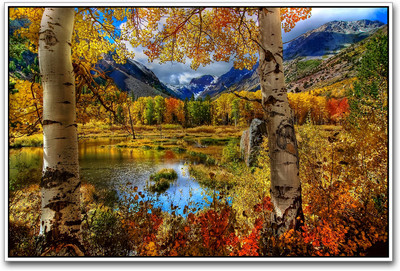 

Beautiful Scenery marvelous Paper Print(12 inch X 18 inch)