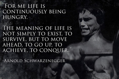 

Oshi - Arnold Schwarzenegger Motivational Quote (2) Paper Print(12 inch X 18 inch, Stretched)