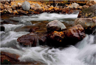 

Nature Paper Print(19 inch X 13 inch, Rolled)