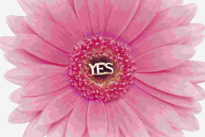 

Posterhouzz Flower Fine Art Print Poster Fine Art Print(12 inch X 18 inch, Rolled)