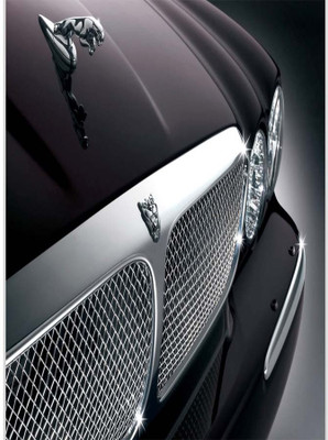 

Posterhouzz Amazing Jaguar New Car Paper Print(18 inch X 12 inch, Rolled)