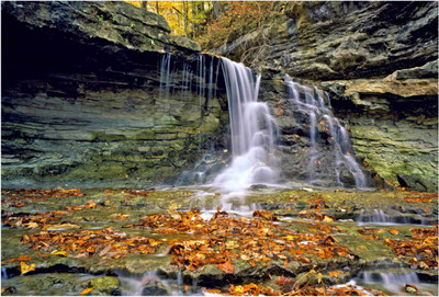 Nature Paper Print(19 inch X 13 inch, Rolled)