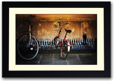 

Bicycle fabulous Fine Art Print(14 inch X 20 inch, Framed)