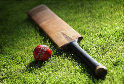 

Its a Cricket ! Paper Print(13 inch X 19 inch, Rolled)