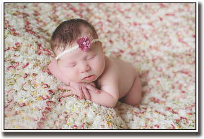 

Baby on flowery bed Fine Art Print(12 inch X 18 inch, Rolled)