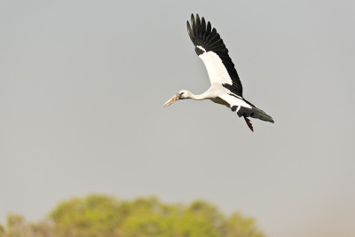 50% OFF on In Flight Paper Print(16 inch X 24 inch)