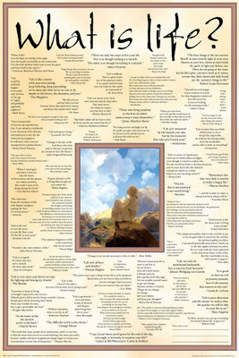 

Posterhouzz What Is Life Poster Fine Art Print(18 inch X 12 inch, Rolled)